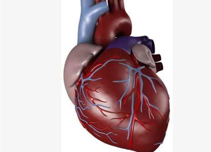     اختبارات للتنبؤ بامراض القلب
